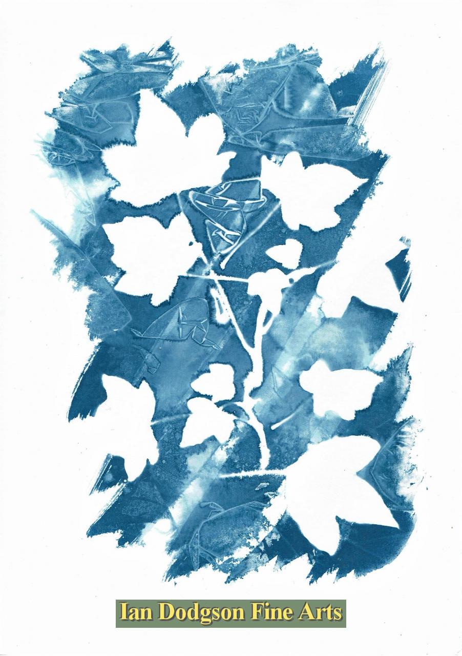 Gill Hughes - Ivy Cyanotype Monoprint (2018)
