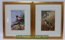 Black Redstart & Coal & Great Tit by Archibald Thorburn